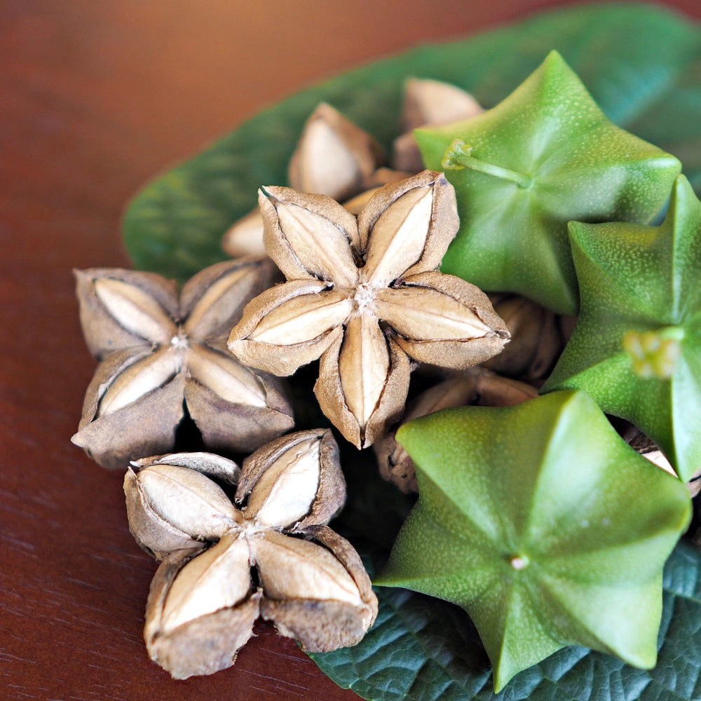 Nuestro compromiso con el medio ambiente – productos naturales y ecológicos COCORA.