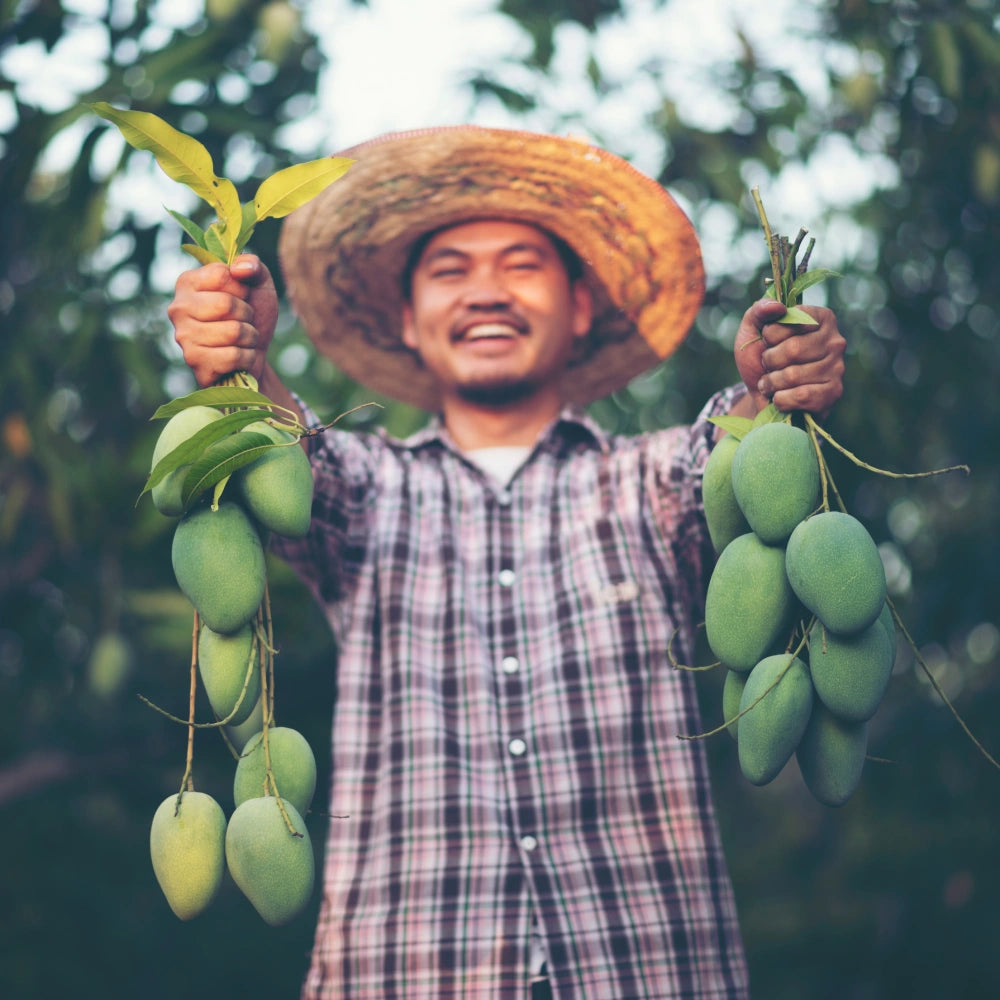 COCORA – compromiso con la sostenibilidad y respeto por la naturaleza.