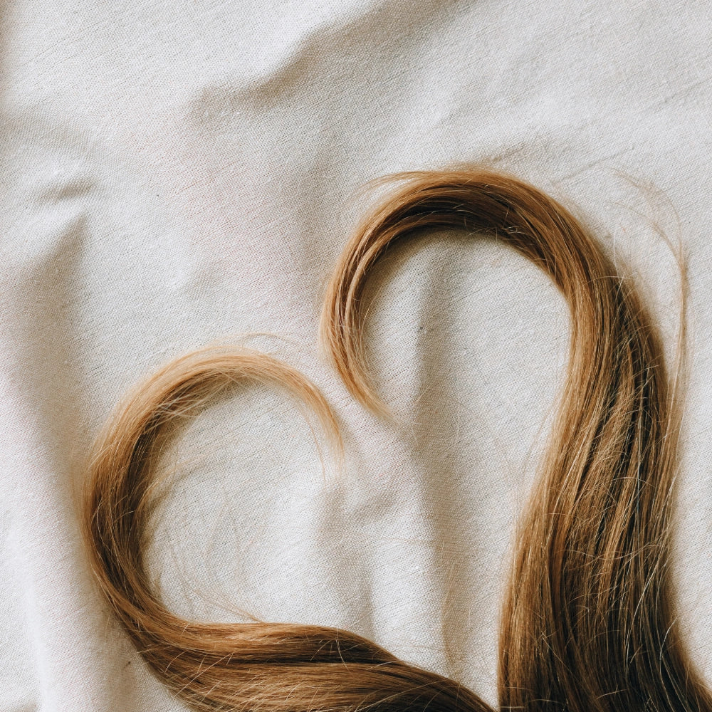 COCORA – productos comprometidos con la protección del medio ambiente y la naturaleza.