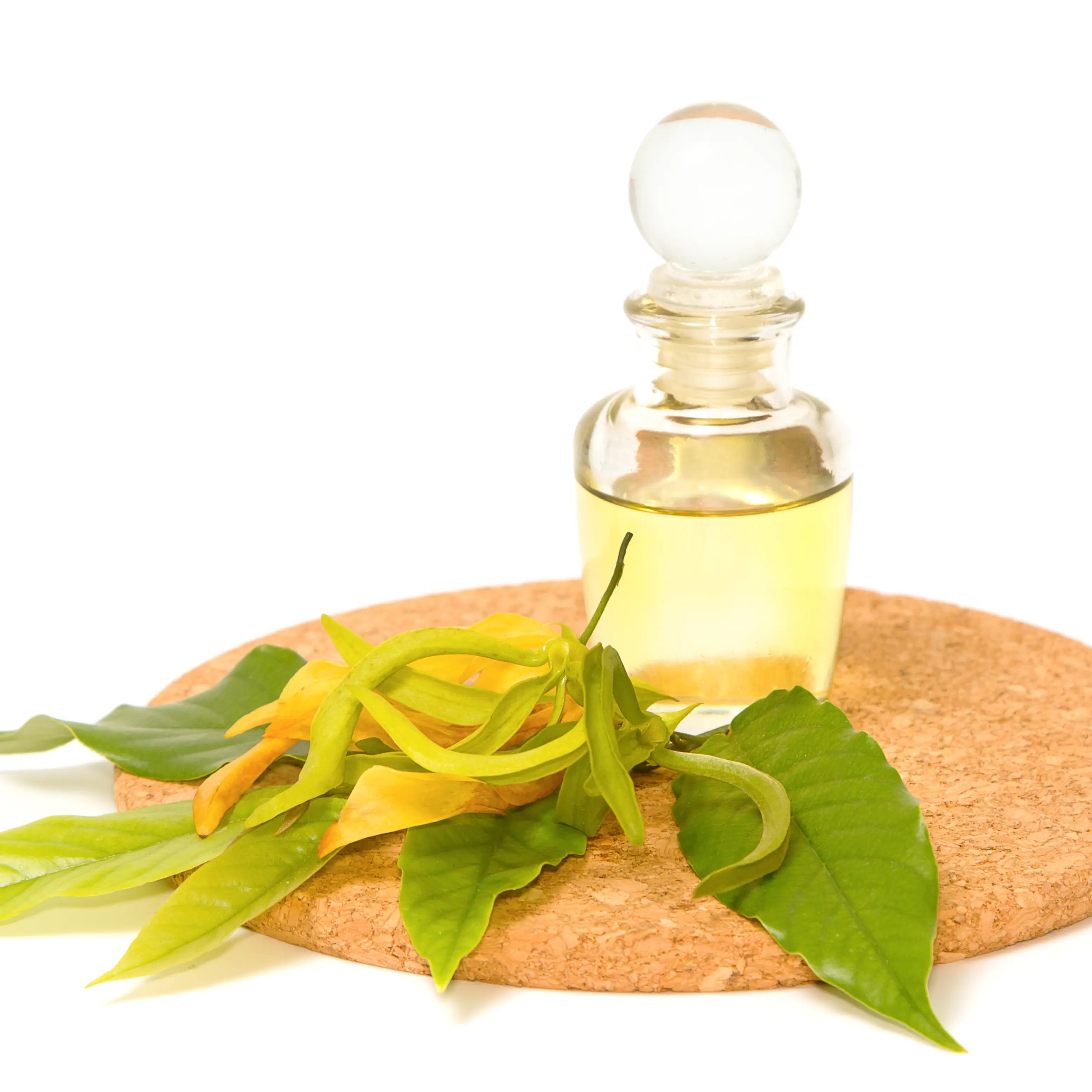 Aceite de Ylang Ylang de calidad COCORA – equilibrio y relajación para la piel y el cabello.