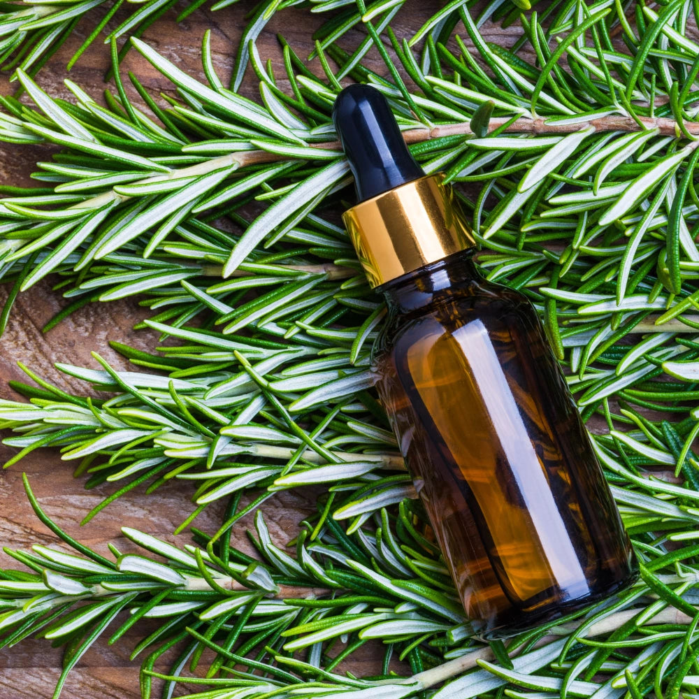 Aceite esencial de romero de calidad COCORA – estimula y revitaliza la piel y el cabello.